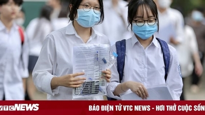 Gợi ý đáp án môn Hóa học mã đề 203 kỳ thi tốt nghiệp THPT 2023