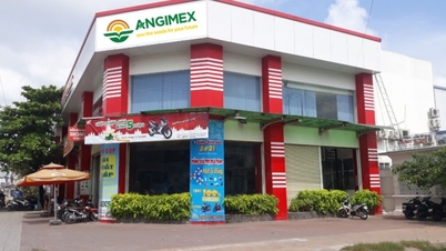 APG Securities បានគ្រប់គ្រងលក់ភាគហ៊ុន AGM មុនពេលការជួញដូរត្រូវបានផ្អាក។
