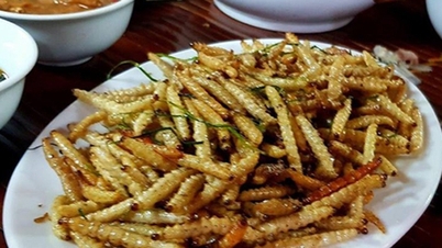 Sâu chít, con động vật chưa chịu chuyển kiếp nằm trong thân cây, lôi ra là thành đặc sản Lào Cai