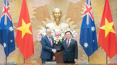 Chủ tịch Quốc hội Vương Đình Huệ đề nghị Australia quan tâm, ủng hộ quan hệ giữa bang Victoria với TPHCM