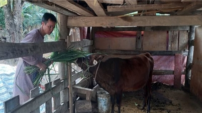 Chương trình MTQG 1719 đang góp phần thay đổi diện mạo vùng cao Bảo Lạc