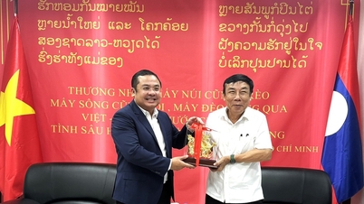 Vinachem aims to complete the Potash Salt Project in Laos in 3 years
