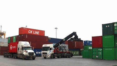 Kim ngạch xuất khẩu qua Hải quan Hải Phòng tăng 19,5%