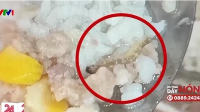 Phó thủ tướng yêu cầu Bộ Giáo dục kiểm tra, xử lý nghiêm vụ sinh viên ăn cơm canh thừa