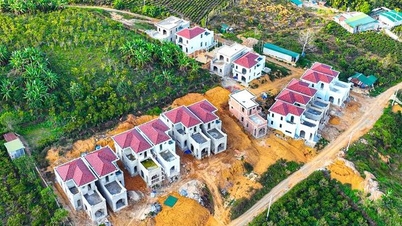 សញ្ញានៃការគ្រប់គ្រងភាពធូររលុងនៅផ្ទះគ្មានច្បាប់អនុញ្ញាតចំនួន 22
