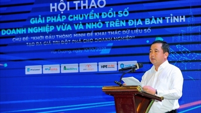 Hai Duong អមដំណើរអាជីវកម្មក្នុងការផ្លាស់ប្តូរឌីជីថល