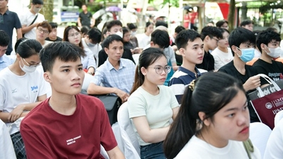 대학 입학 지원: 1지망에 우선권이 주어지는가?