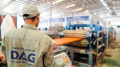 Dong A Plastic (DAG) បន្តទទួលរងការខាតបង់ ហើយត្រូវបានដាក់បញ្ចូលក្នុងបញ្ជីព្រមានម្តងទៀតដោយ HoSE