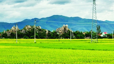 អភិវឌ្ឍទីផ្សារនាំចេញអង្ករ