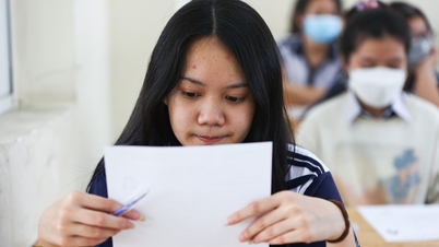 IELTS score conversion table for universities