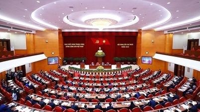 당의 검열, 감독 및 규율에 관한 규정 개정