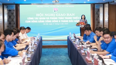 Phát huy vai trò của thanh niên trong phát triển kinh tế