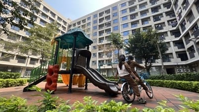 From August 1, 2024, the subjects eligible to buy social housing will be expanded.