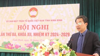 전선에서는 감독 및 비판적 역할을 더 분명하게 보여줄 필요가 있습니다.
