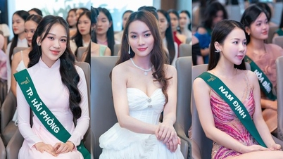 Where and when will the final round of Miss Tourism Vietnam Global 2024 take place?