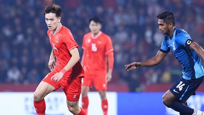 What weapons does the Vietnamese team have to defeat Thailand?