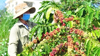 Khởi sắc ở tất cả các thị trường
