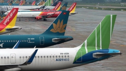 Mong muốn gia hạn chính sách bay đêm để tạo sức hút phát triển du lịch