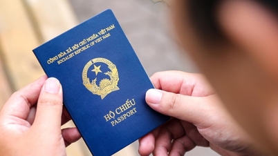 4 mẫu hộ chiếu áp dụng từ ngày 15 8