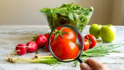 More than 1,000 cases of food poisoning increased compared to the same period
