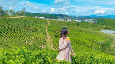 Điểm danh ngay những nơi chụp hình 'sống ảo' tại Đà Lạt dành cho dịp lễ 2.9