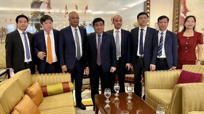 Adani Group (India) wants to invest in many projects in Vietnam