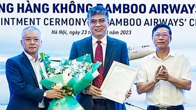 ហេតុអ្វីបានជាអគ្គនាយកក្រុមហ៊ុន Bamboo Airways ផ្អាកការចាកចេញពីប្រទេសជាបណ្តោះអាសន្ន?