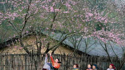 The 13th International Artistic Photography Competition in Vietnam in 2025 (VN-25)
