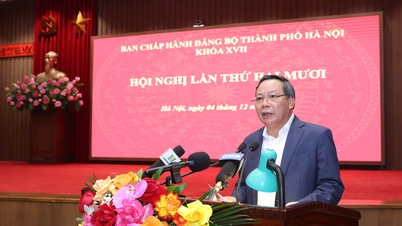 Hanoi launches extensive political activities on the era of national rise