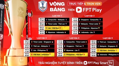 Xem trực tiếp đội tuyển Việt Nam và trọn vẹn AFF Cup 2024 ở đâu, kênh nào?