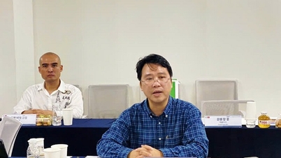 多くの分野でベトナムと韓国の革新的なスタートアップ企業を優先的に支援