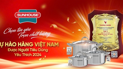 SUNHOUSE ខ្សែផលិតផល ផើងដែកអ៊ីណុក - មានមោទនភាពក្នុងការទទួលបានពានរង្វាន់ "ផលិតផលវៀតណាមដែលអ្នកប្រើប្រាស់ស្រលាញ់ក្នុងឆ្នាំ 2024"