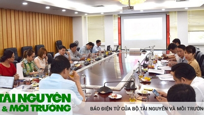 Thẩm định hồ sơ chuyển mục đích sử dụng đất để thực hiện dự án tại Ninh Bình và Thái Nguyên