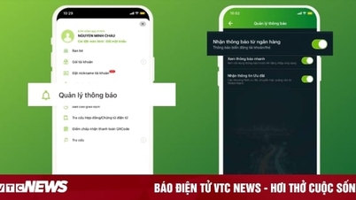 Cách nhận thông báo biến động số dư
