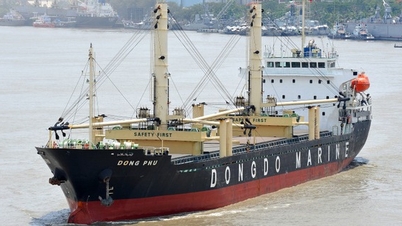 បាត់មុខជំនួញ Dong Do Marine ត្រូវធនាគារដាក់លក់