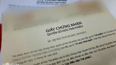 Fined a series of businesses related to Van Thinh Phat for bonds