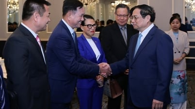 មានសហគ្រាសវៀតណាមដែលមានតម្លៃរាប់ពាន់លានដុល្លារនៅអាមេរិក។