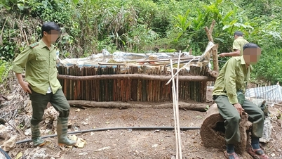 Ngăn chặn nạn khai thác vàng trái phép