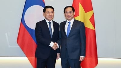 Phó Thủ tướng Bùi Thanh Sơn làm việc với Phó Thủ tướng Lào Saleumxay Kommasith