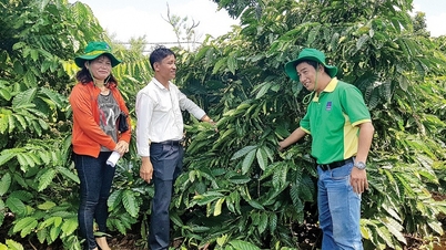 Áp thuế GTGT phân bón 5%, lợi ích thiết thực cho nông nghiệp nông dân