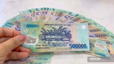 Deposit 500 million VND for 24 months at Agribank and receive interest of 49 million VND