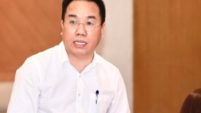العديد من الأنشطة الجذابة في اليوم الثالث لثقافة الكتاب والقراءة في فيتنام