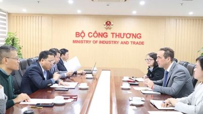 អនុរដ្ឋមន្ត្រី Nguyen Hoang Long បានទទួលជួបតំណាងក្រុមហ៊ុន BP Group