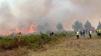 Peru declares state of emergency due to fierce forest fires