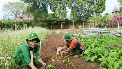 កញ្ចក់ស្ងាត់