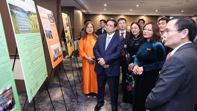 Vietnamese intellectuals in Australia contribute to building the country