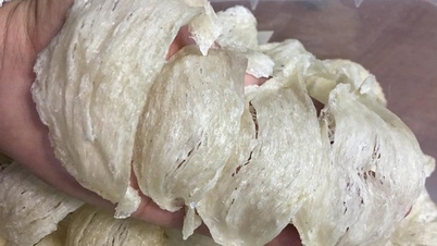 គុណភាព​អាហារូបត្ថម្ភ​របស់​សំបុក​បក្សី​វៀតណាម​គឺ​ស្មើ​នឹង​ប្រទេស​ម៉ាឡេស៊ី និង​ថៃ។