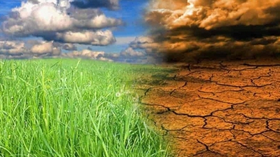 Dissolution of the National Committee on Climate Change