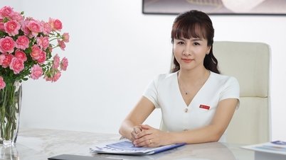 CEO Elmich Việt Nam: Sứ mệnh đưa gia dụng tiêu chuẩn châu Âu phục vụ người Việt