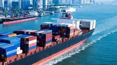 Gạo được giá, doanh nghiệp vẫn than lỗ; hai tuần tháng 4, xuất khẩu mang về 15 tỷ USD cho Việt Nam